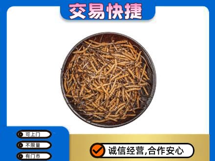 池州市回收散虫草